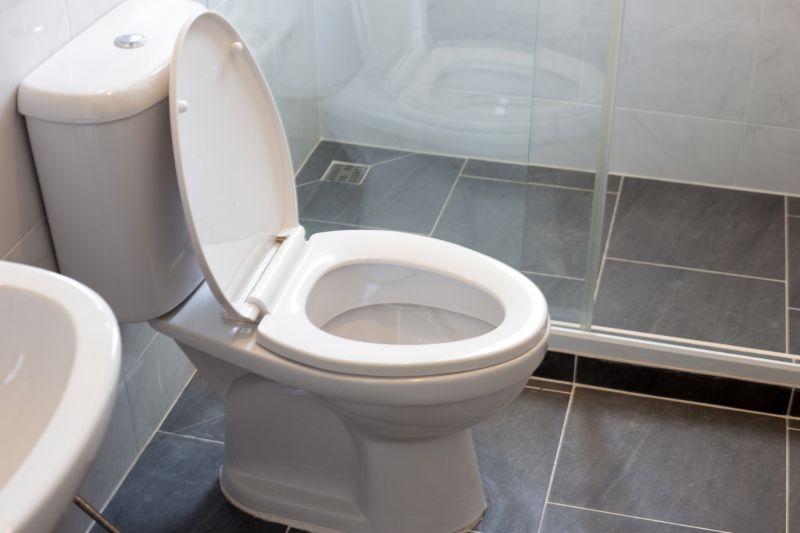 Toilet Repair in Denver, CO